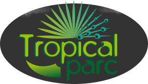 A yearly pass with the Tropical Park Passport 