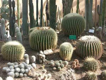 Tropical Parc dans le Morbihan