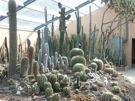 Tropical Parc dans le Morbihan