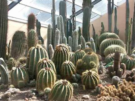 Tropical Parc dans le Morbihan