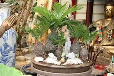 Tropical Parc dans le Morbihan
