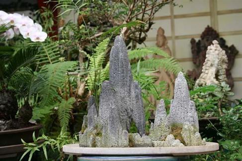Tropical Parc dans le Morbihan