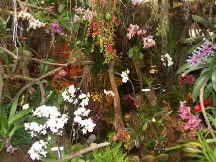 Tropical Parc dans le Morbihan