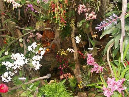 Tropical Parc dans le Morbihan