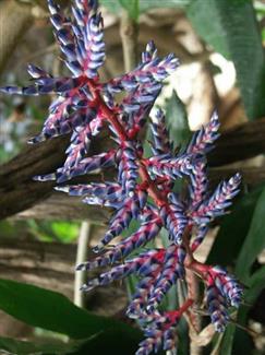 Tropical Parc dans le Morbihan