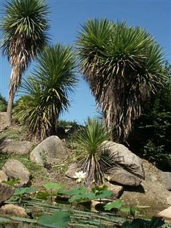 Tropical Parc dans le Morbihan
