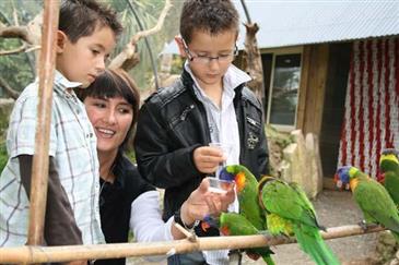 Tropical Parc dans le Morbihan