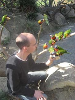 Tropical Parc dans le Morbihan