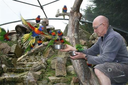Tropical Parc dans le Morbihan