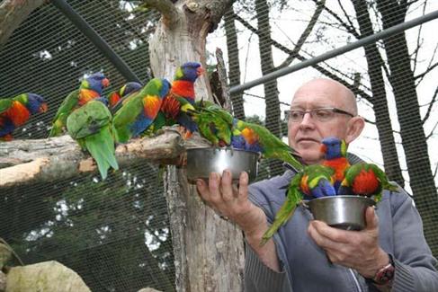 Tropical Parc dans le Morbihan