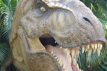 Tropical Parc dans le Morbihan