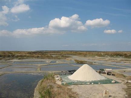 Tropical Parc dans le Morbihan