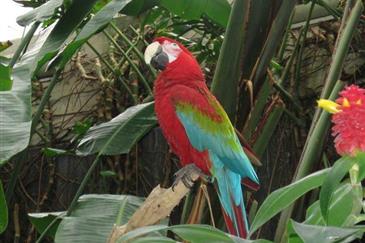 Tropical Parc dans le Morbihan