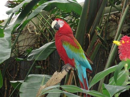 Tropical Parc dans le Morbihan