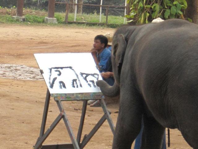 Elephants de Thaïlande