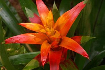 Tropical Parc dans le Morbihan