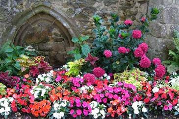 Tropical Parc dans le Morbihan