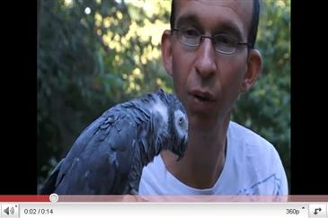 Tropical Parc dans le Morbihan