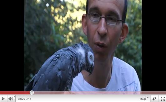 Tropical Parc dans le Morbihan