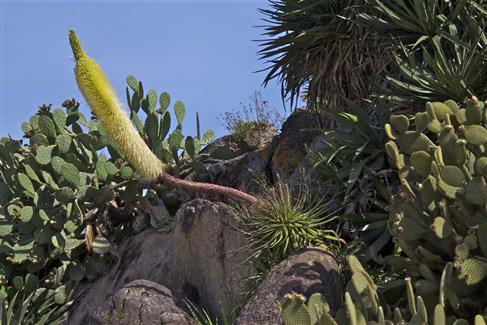 Tropical Parc dans le Morbihan