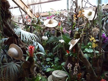 Tropical Parc dans le Morbihan