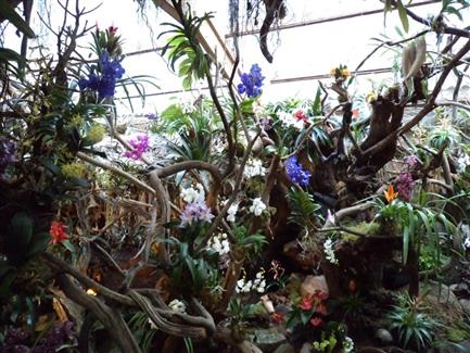 Tropical Parc dans le Morbihan