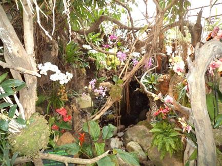Tropical Parc dans le Morbihan