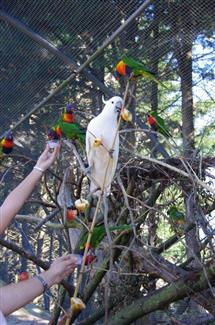 Tropical Parc dans le Morbihan