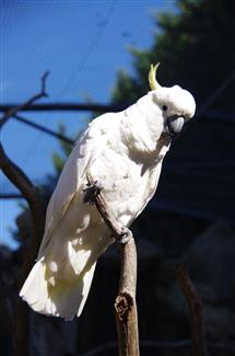 Tropical Parc dans le Morbihan