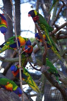 Tropical Parc dans le Morbihan