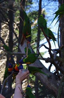 Tropical Parc dans le Morbihan