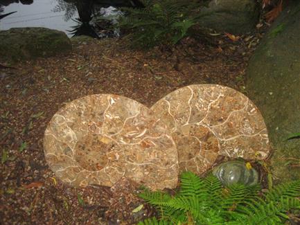 Tropical Parc dans le Morbihan