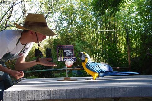 Tropical Parc dans le Morbihan