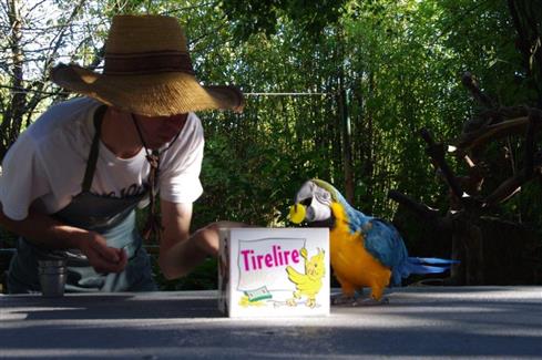 Tropical Parc dans le Morbihan