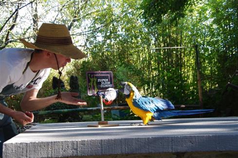Tropical Parc dans le Morbihan
