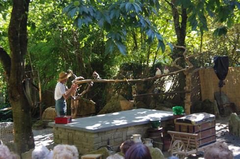Tropical Parc dans le Morbihan