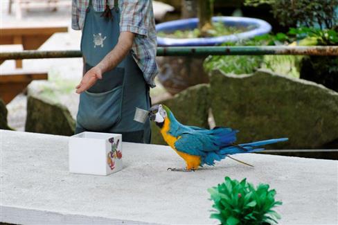 Tropical Parc dans le Morbihan