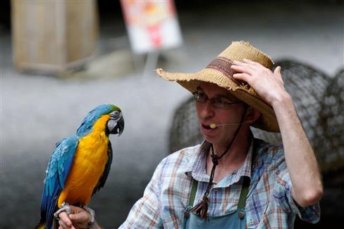 Tropical Parc dans le Morbihan