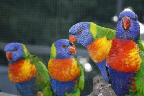 Tropical Parc dans le Morbihan