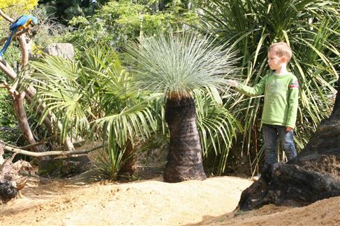 Tropical Parc dans le Morbihan