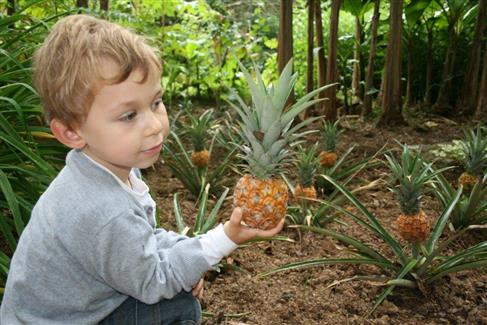 Tropical Parc dans le Morbihan