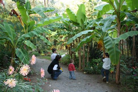 Tropical Parc dans le Morbihan