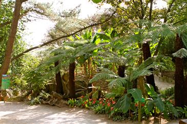 Tropical Parc dans le Morbihan