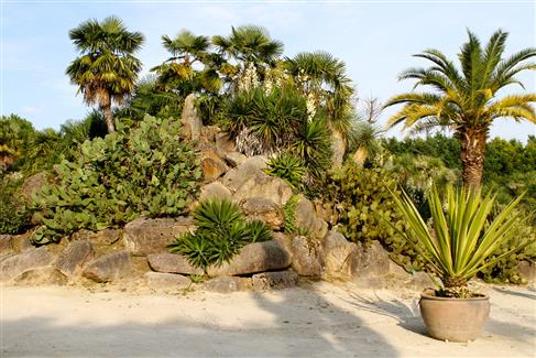 Tropical Parc dans le Morbihan