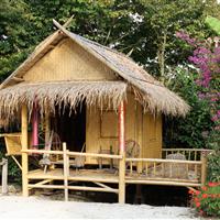 Tropical Parc dans le Morbihan