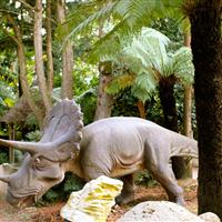 Tropical Parc dans le Morbihan
