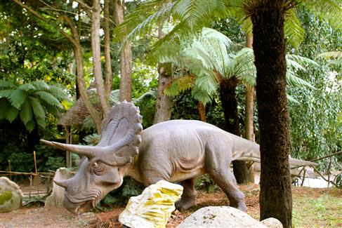 Tropical Parc dans le Morbihan