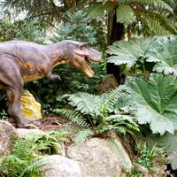 Tropical Parc dans le Morbihan