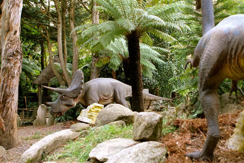 Tropical Parc dans le Morbihan