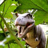 Tropical Parc dans le Morbihan